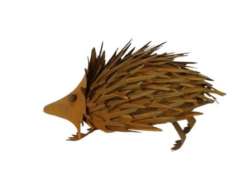 Eddie The Echidna