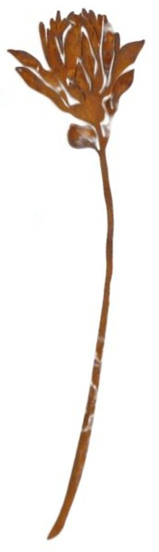 Australian Flora Plant - Cast-Iron Garden Stake