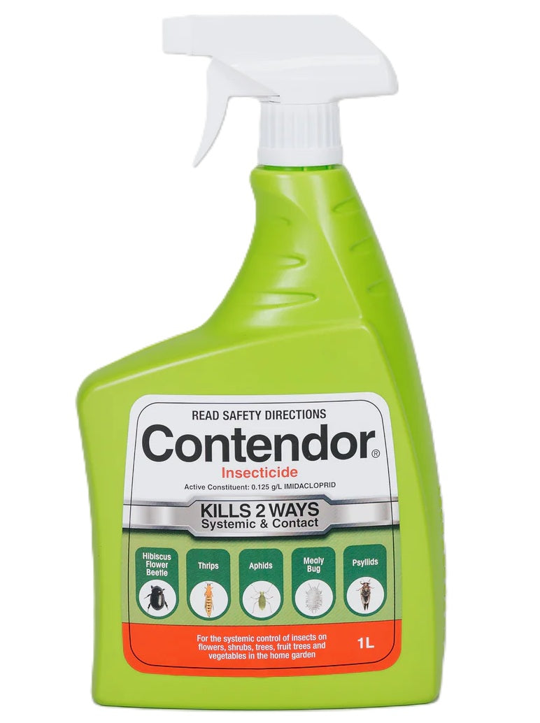 Contendor Ready-To-Use