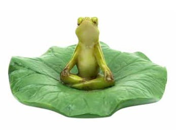Meditating Frog On Lilypad