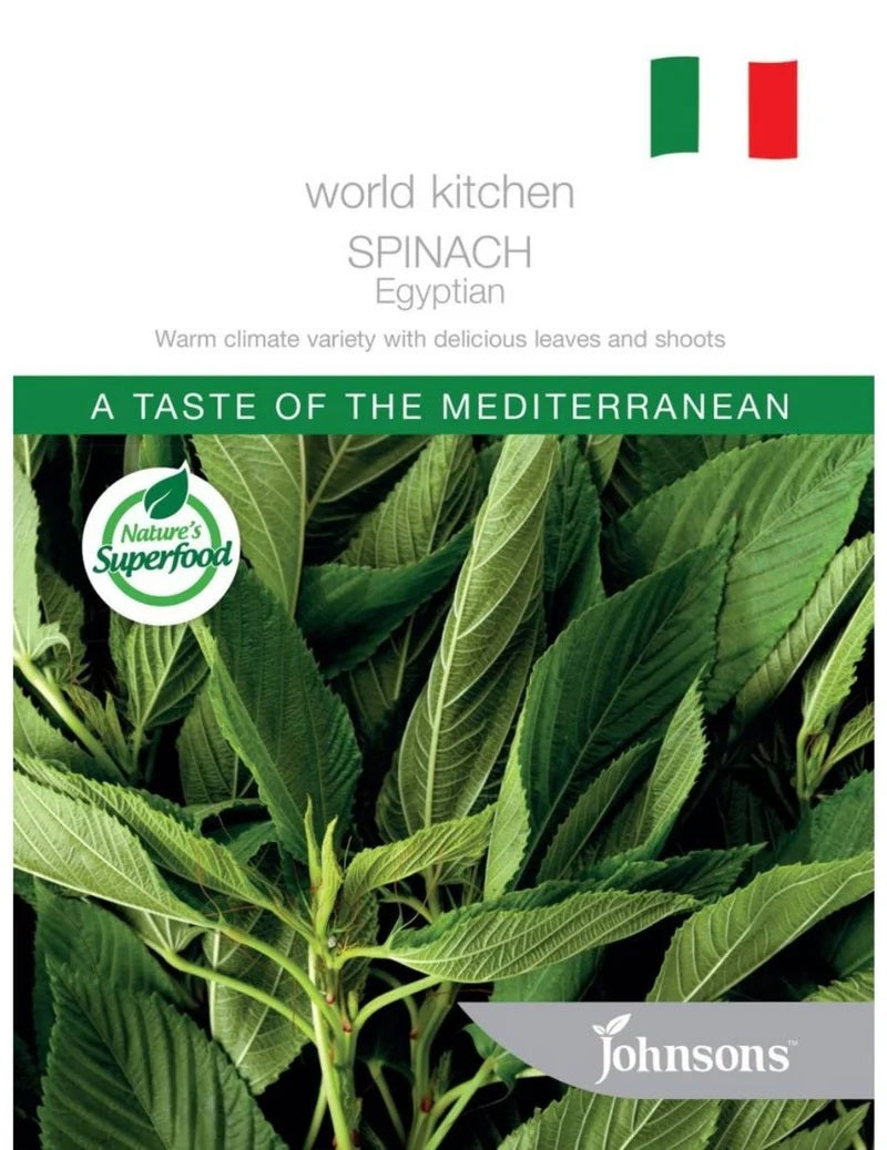Seeds A World Kitchen Spinach Egyptian
