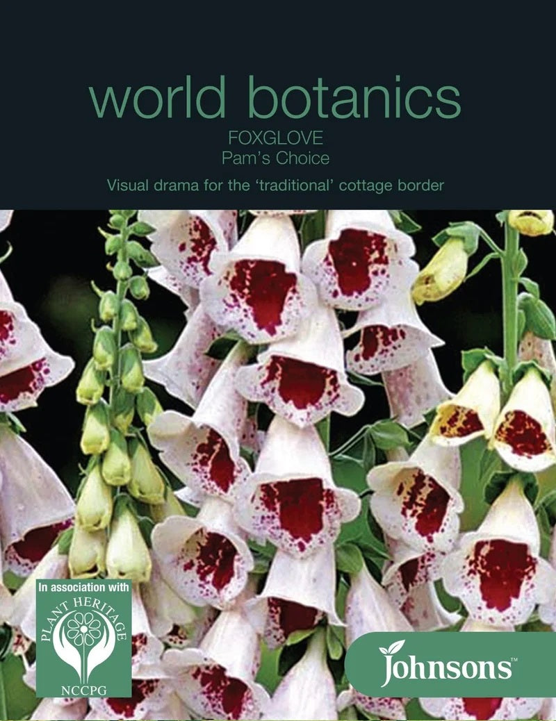 Mr Fothergill's - Foxglove Pams Choice Seeds