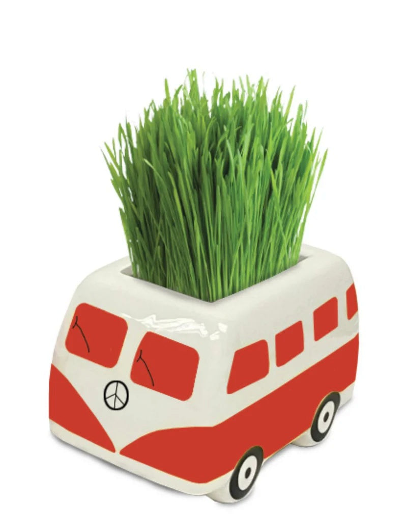 Good Vibes Minivan Grow Kit - Red