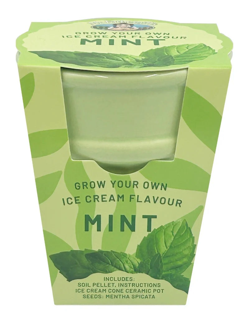 Ice Cream Flavour Grow Kit - Spearmint
