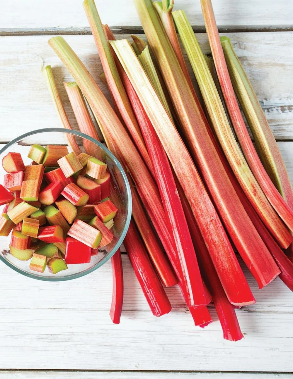 Mr Fothergill's - Rhubarb Mammoth Red Crown - 1 Crown