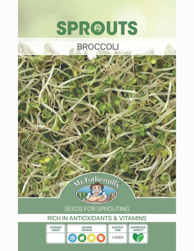 Seeds D Sprouts Alive Broccoli