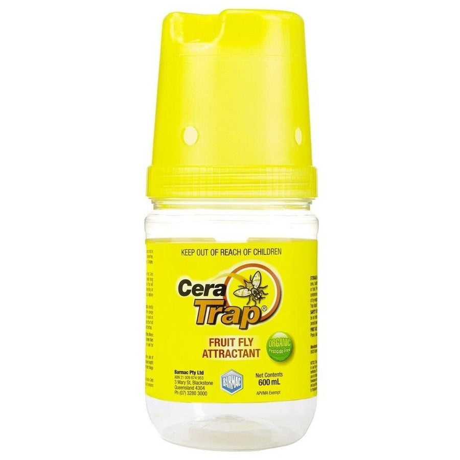 Cera Fruit Fly Trap Empty