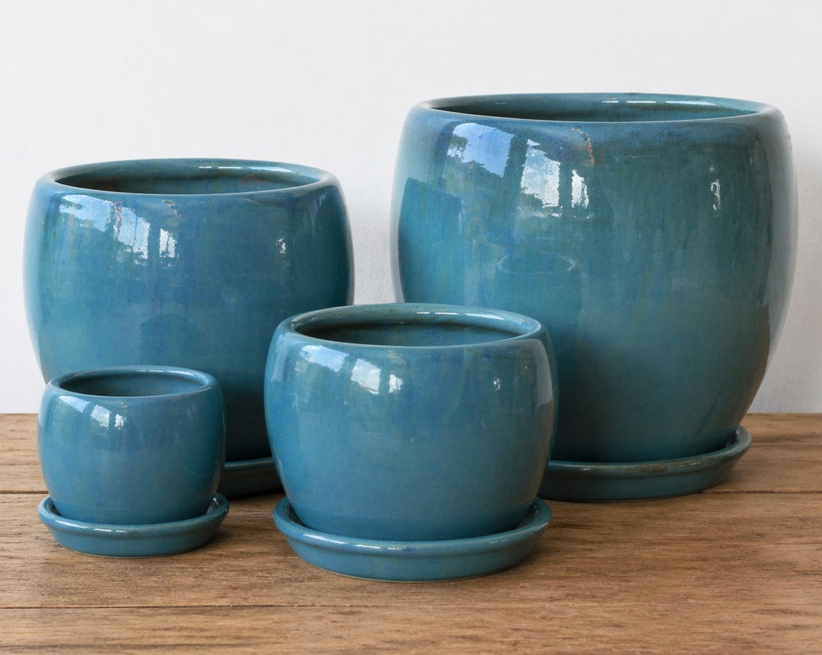 Ceramic Ball Pot with Saucer - Juicy Green
