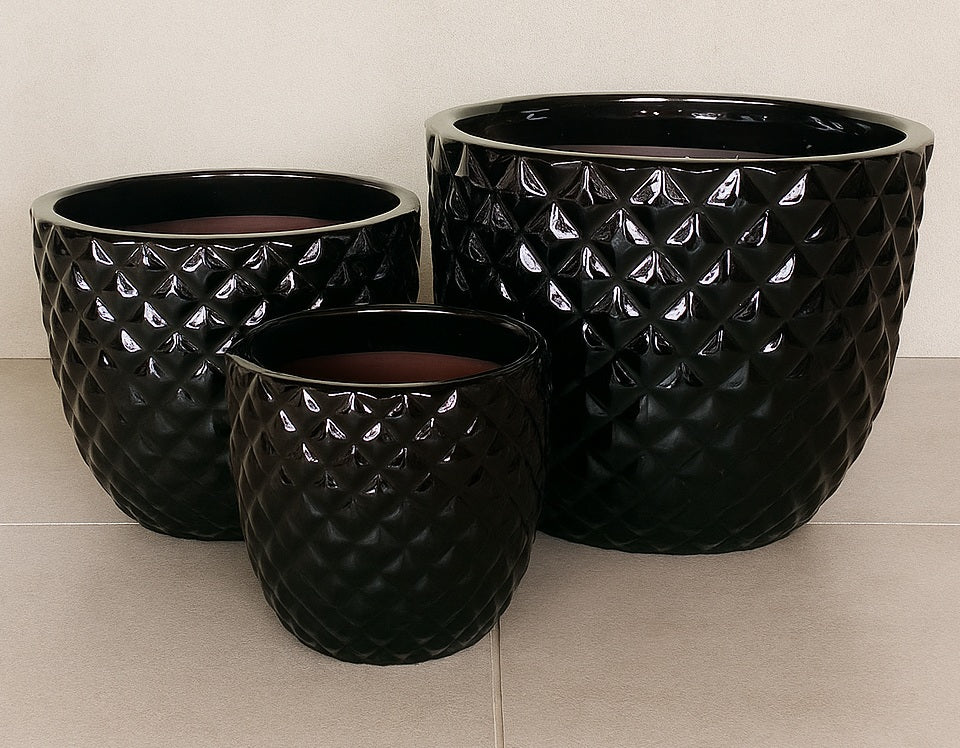Ceramic Pineapple Pot - Shiny Black