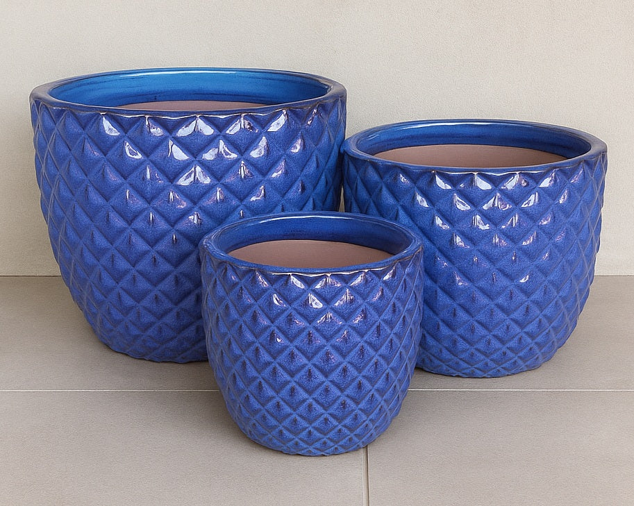 Ceramic Pineapple Pot - Juicy Blue