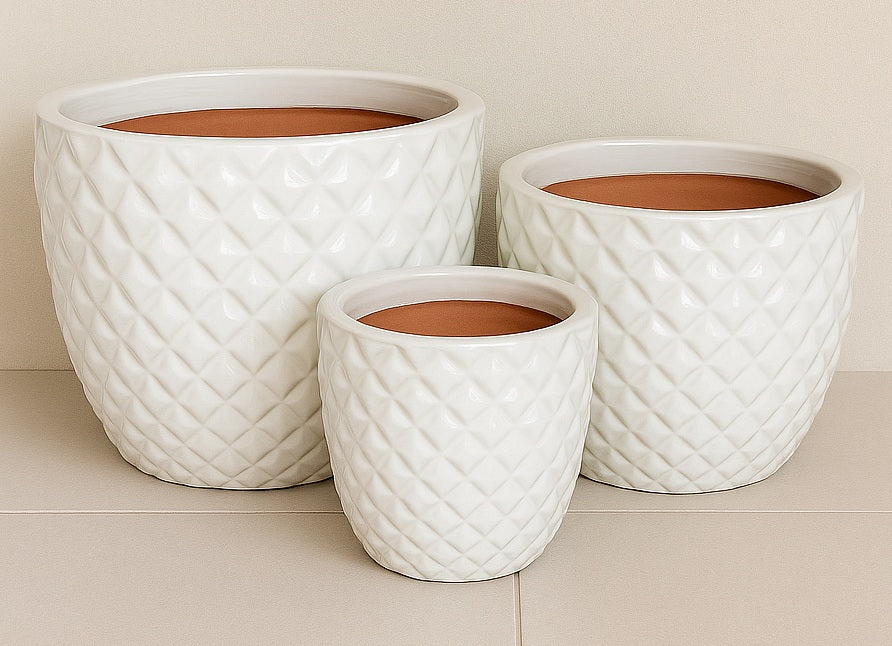 Ceramic Pineapple Pot - White
