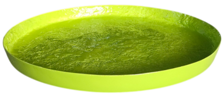 Round Rim Fibreglass Saucer - Gloss Lime Green