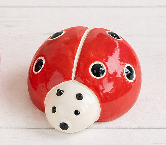 Lady Bug