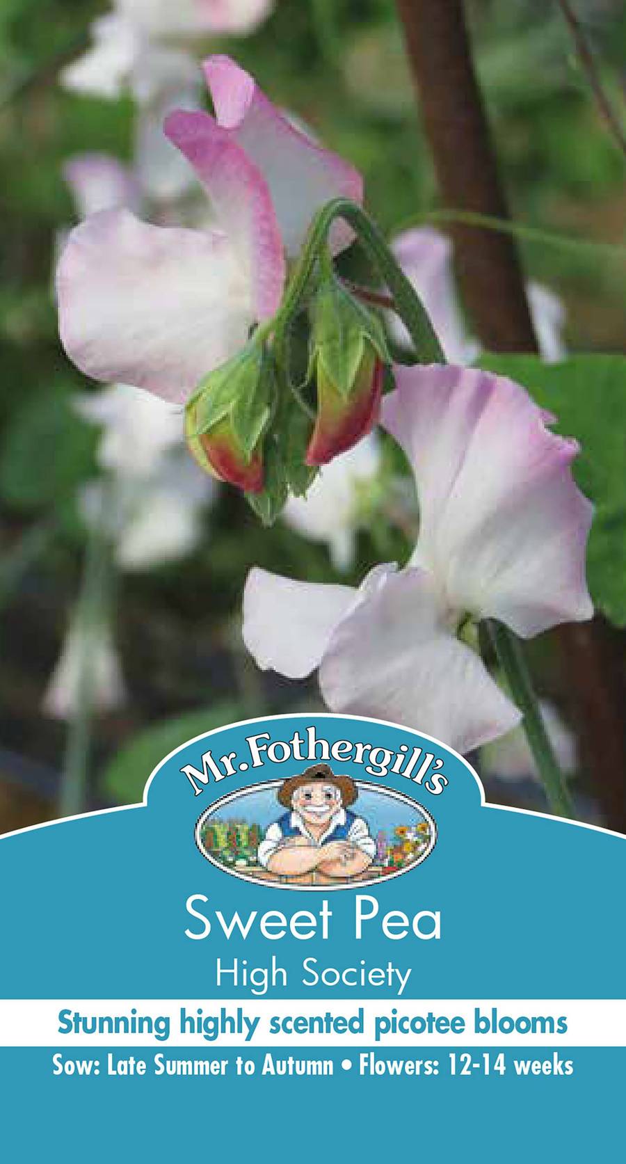 Mr Fothergill's - Sweet Pea High Society Seeds