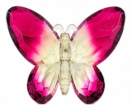 Acrylic 2-Tone Hanging Butterfly