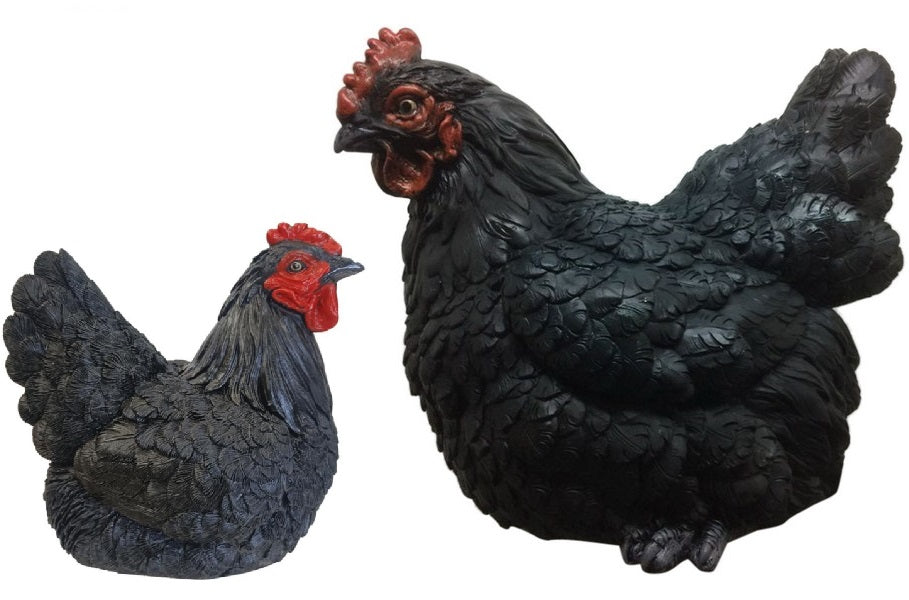 Hen Sitting - Black