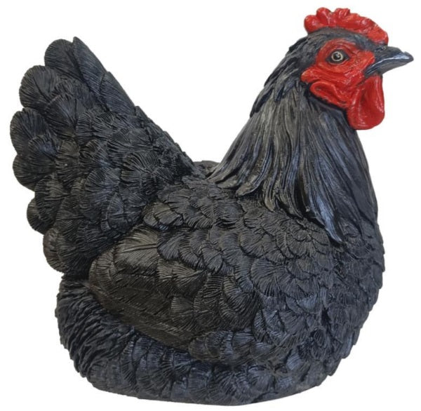 Hen Sitting - Black
