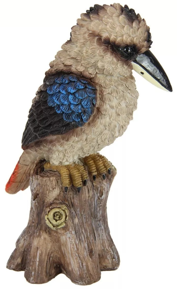 Kookaburra on Branch