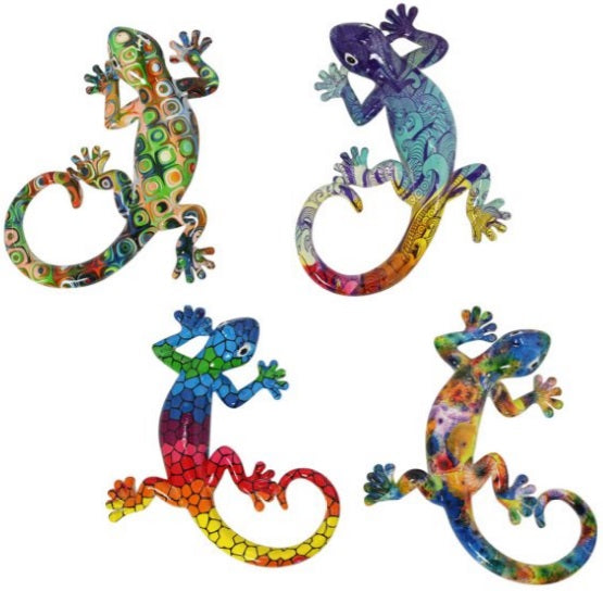 Lizard Multicoloured