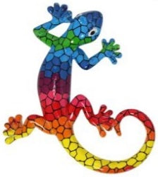Lizard Multicoloured