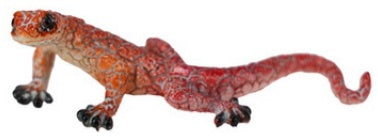 Lizard Scaly Marble