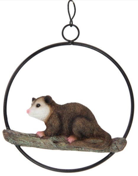 Hanging Possum in Ring