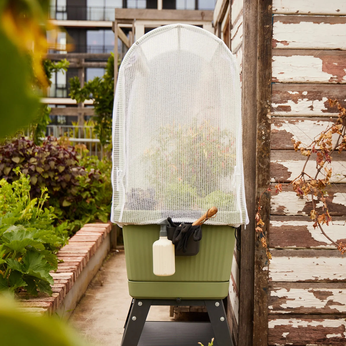 Georgie - The Protection Canopy