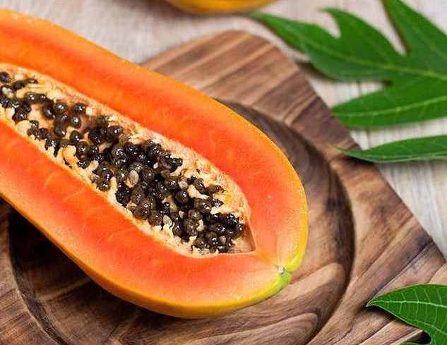 Carica papaya - RED ARMY - Dwarf Bisexual Pawpaw