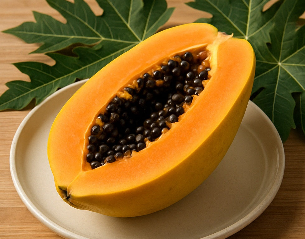 Carica papaya - YELLOW - Bisexual Pawpaw