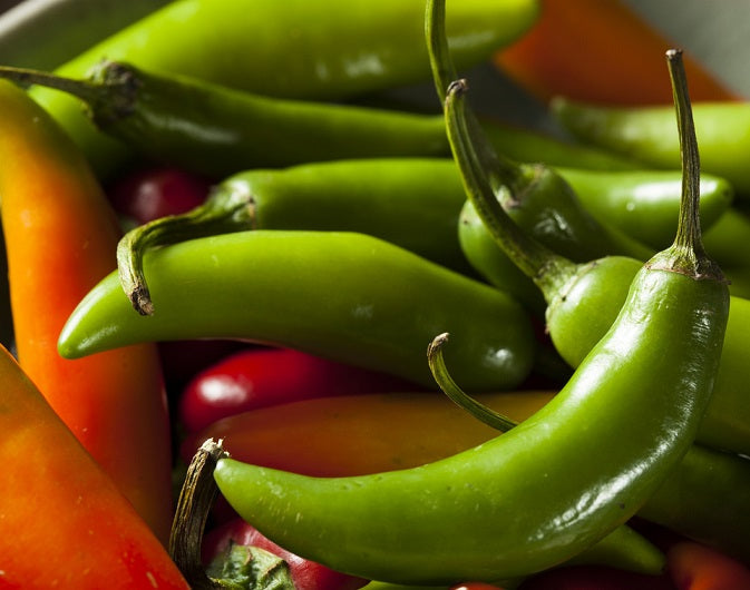 Chilli Pepper - SERRANO - Capsicum annuum