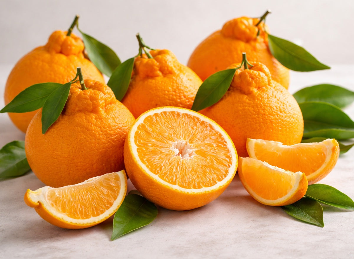 Citrus - Mandarin - DEKOPON - Sumo Citrus