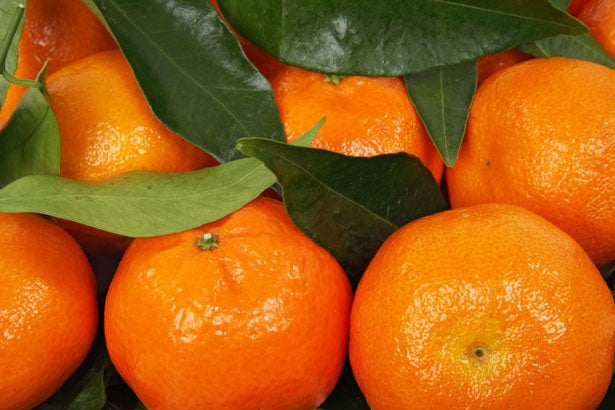 Citrus - Mandarin - IMPERIAL