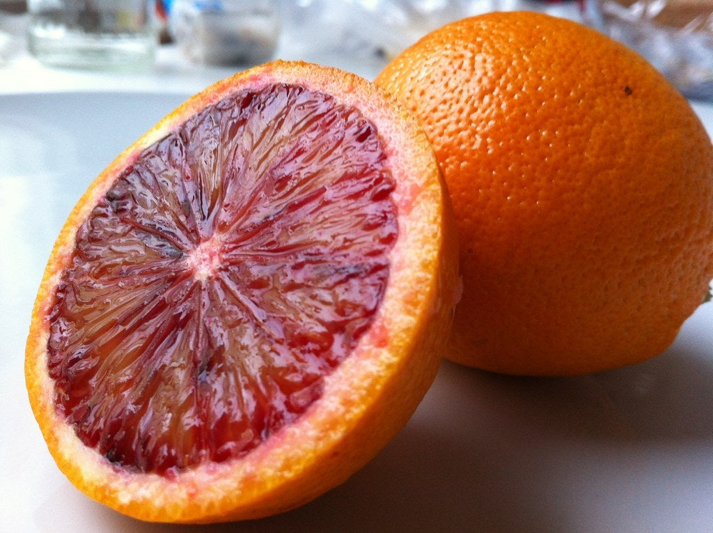 Citrus - Orange - RUBY BLOOD