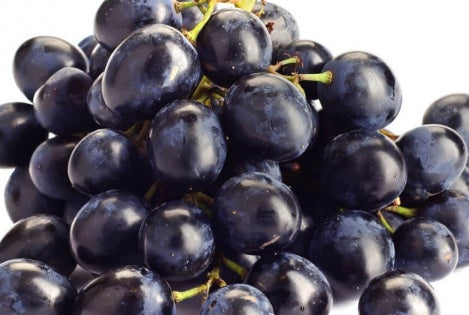 Vitis vinifera - AUTUMN ROYAL - Seedless Grape