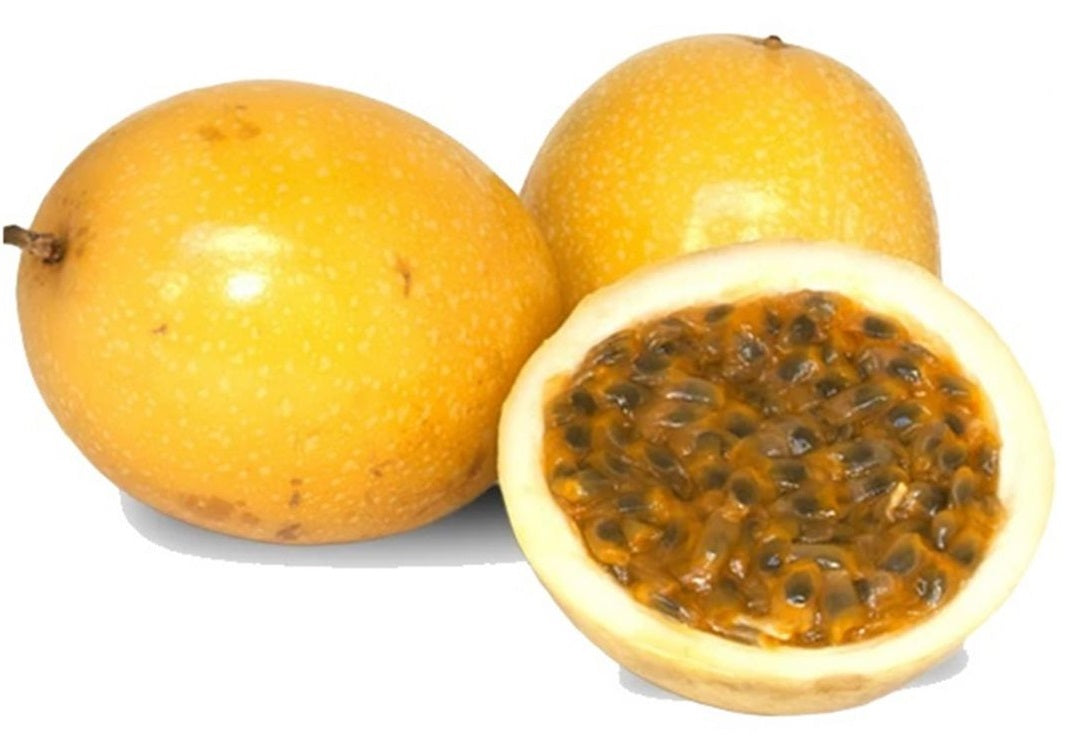 Passiflora edulis - PANAMA GOLD - Passionfruit