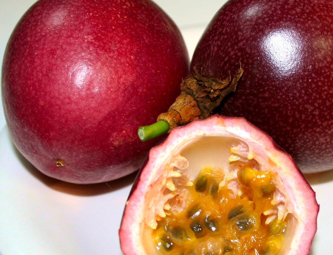 Passiflora edulis - PANDORA - Passionfruit