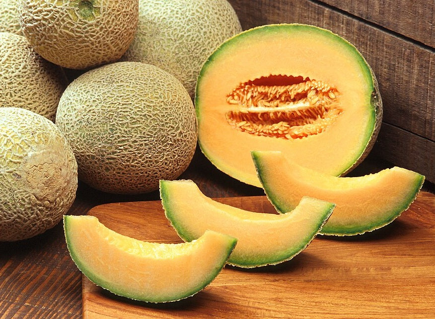 Rockmelon Canaloupe - Cucumis melo