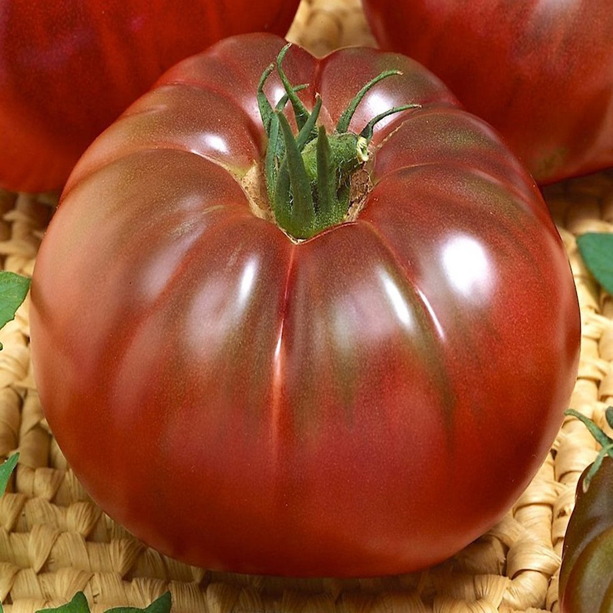 Tomato - BLACK RUSSIAN - Solanum lycopersicum