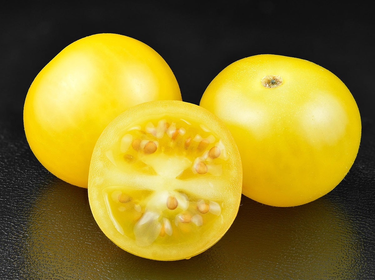 Tomato - YELLOW CHERRY - Solanum lycopersicum