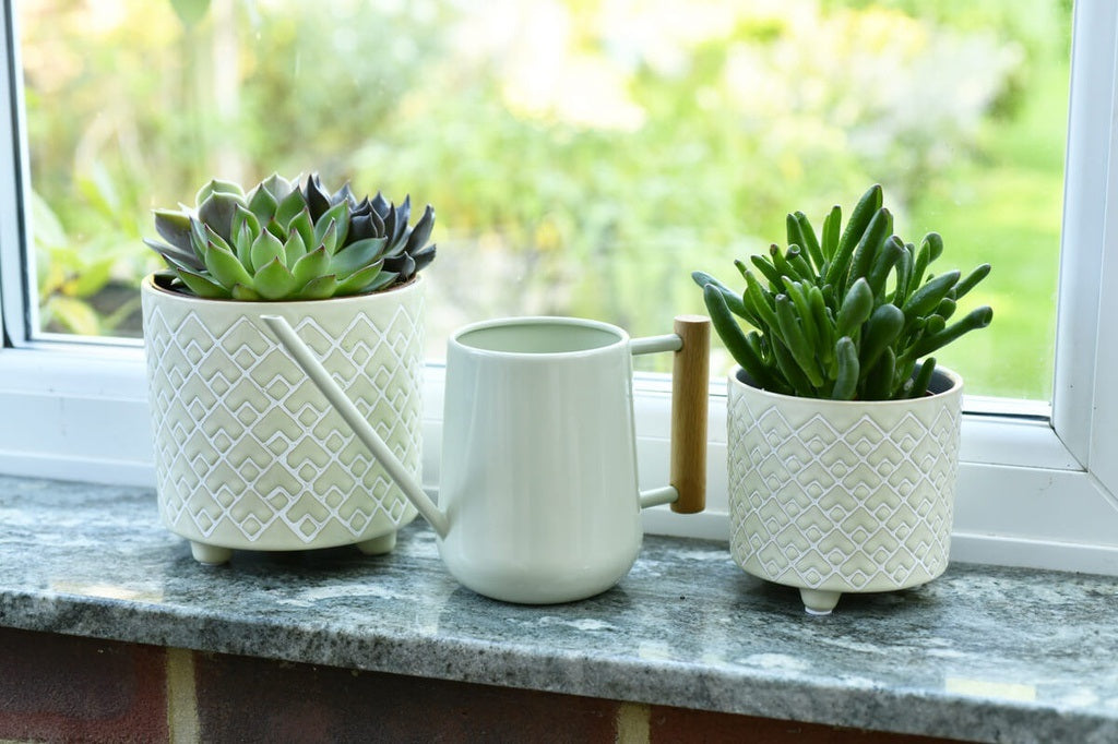 Indoor Watering Can Pale Jade