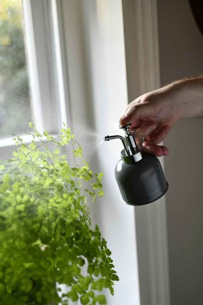 Indoor Plant Mister Charcoal