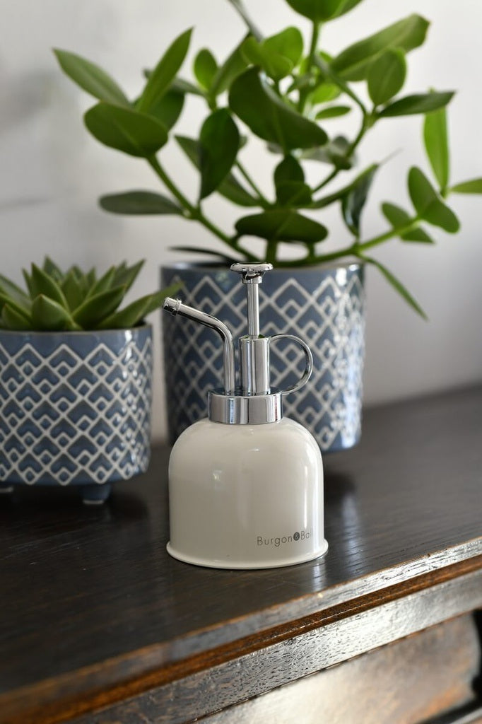 Indoor Plant Mister Stone