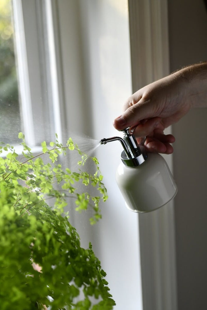 Indoor Plant Mister Stone