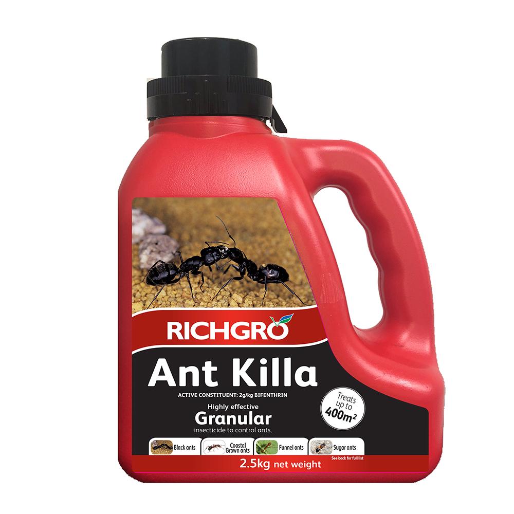 Ant Killa