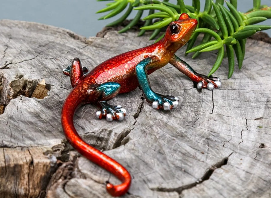 Gecko - Multicolour