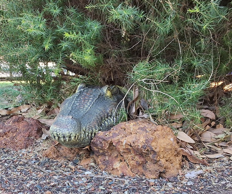 Crocodile Head Floating