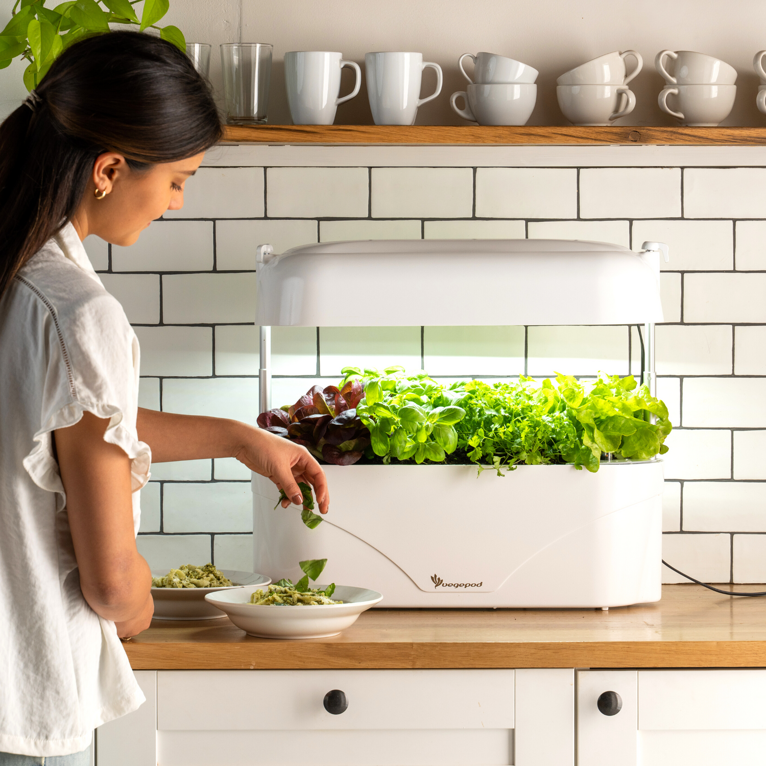 Vegepod Kitchen Garden White