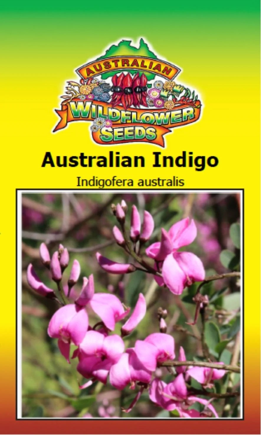 Seeds Indigofera australis - Australian Indigo