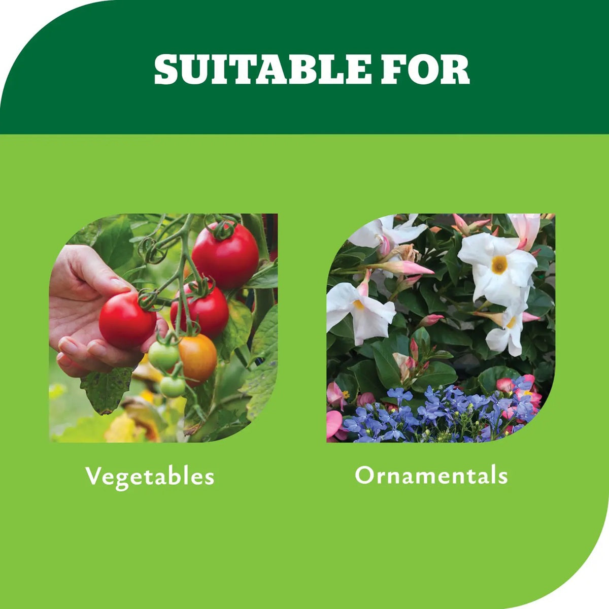 Advanced Garden Insect Killer Ready-To-Use