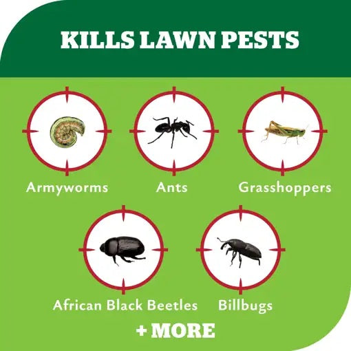 Advanced Lawn Insect Killer Concentrate